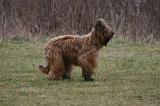BRIARD 283